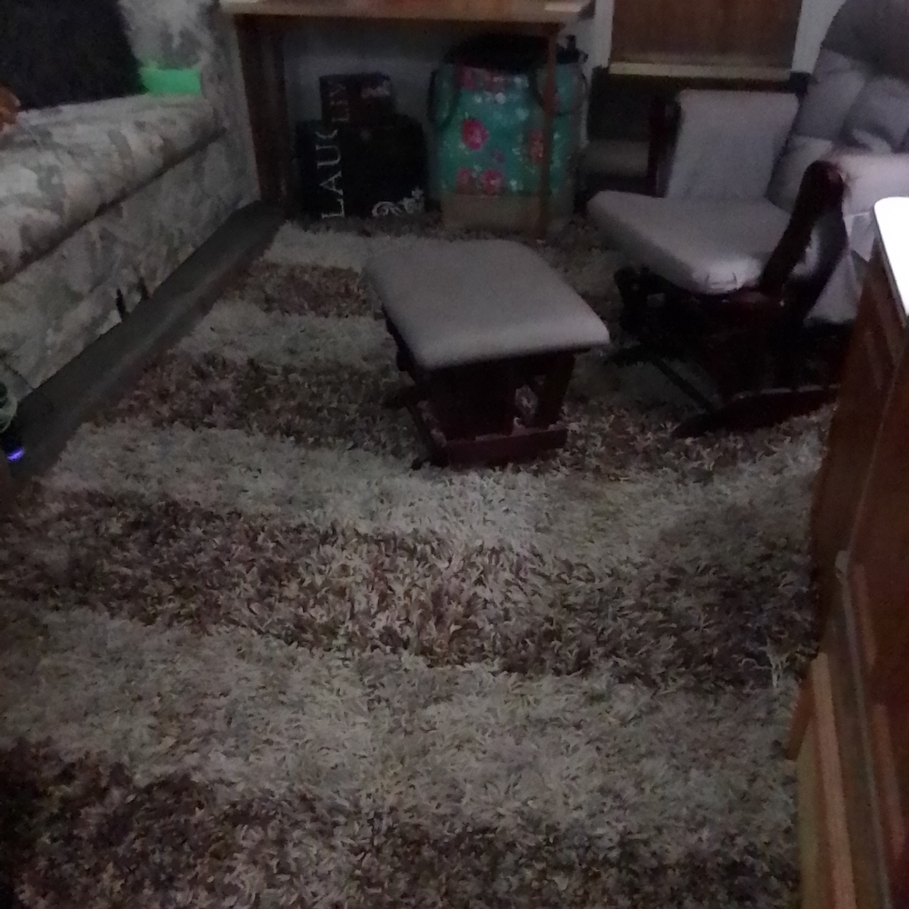 Safavieh Shag Rug